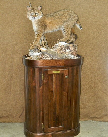 Bobcat Pedestal Mount, Bobcat Taxidermy Mounts Pennsylvania