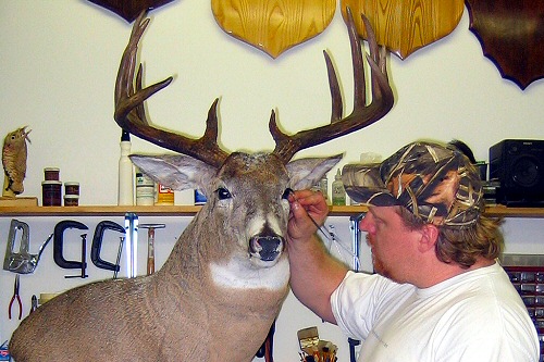 Mike Brown of Brown Bear Taxidermy Studio