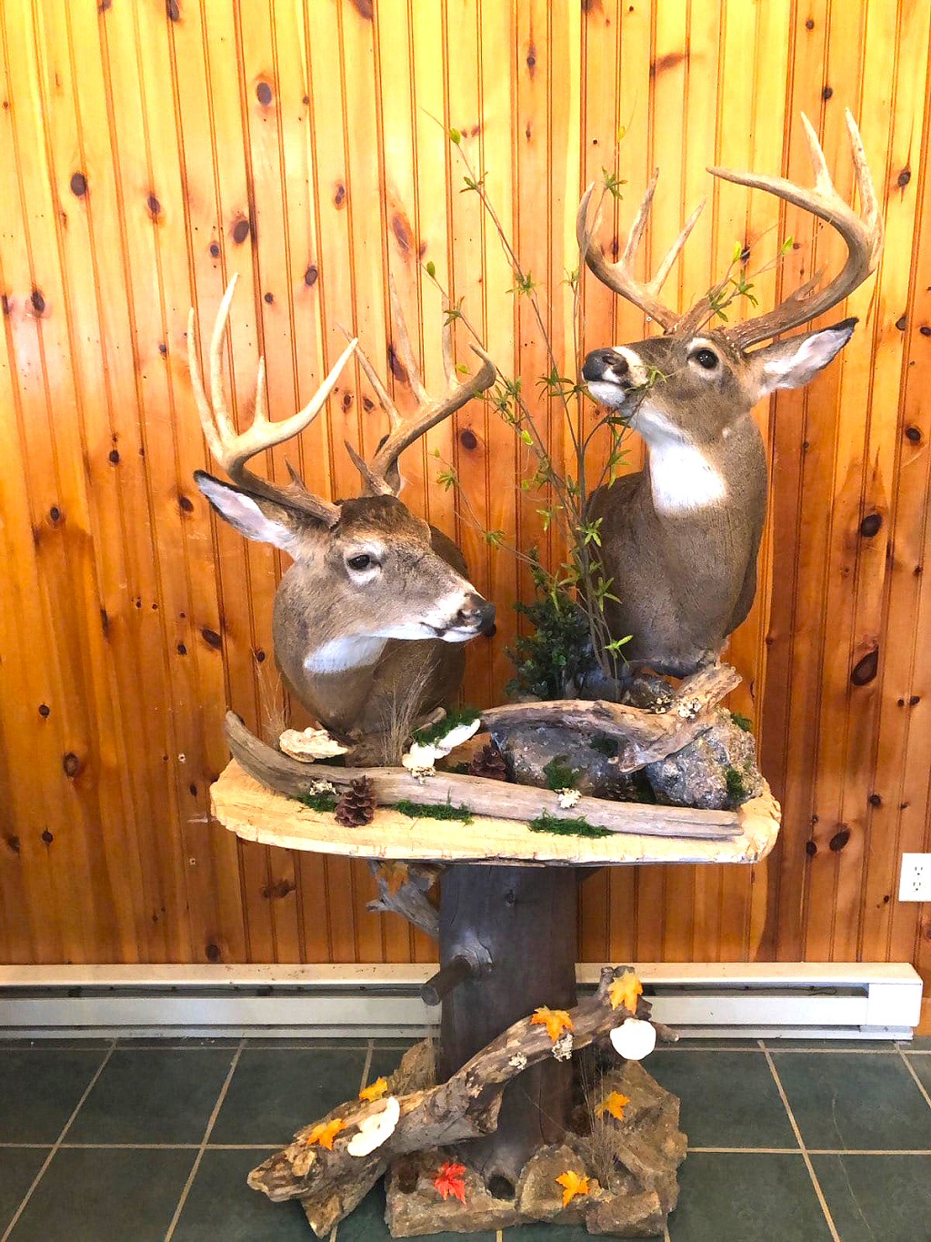 Deer Taxidermy Mounts Pennsylvania, Deer Pedestal Mounts at Brown Bear Taxidermy Studio - Pennsylvania Deer Taxidermy Mounts